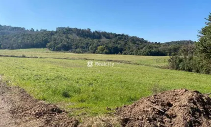 Terreno à venda na estrada 40, 2, vale dos vinhedos (distrito), bento gonçalves por r$ 3.950.000