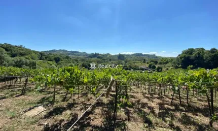 Terreno à venda na tentro, s/n, 2, vale dos vinhedos (distrito), bento gonçalves por r$ 4.300.000