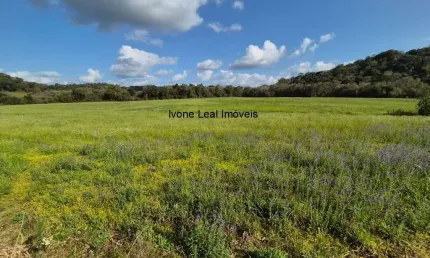 Chácara / sítio com 2 quartos à venda na serra de baixo, entre-ijuís , 175 m2 por r$ 800.000
