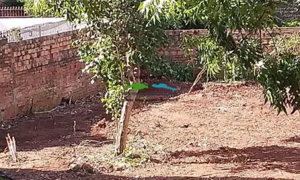 Terreno 19,00x40,00 - jardim das palmeiras- santo ângelo- rs- excelente localização.