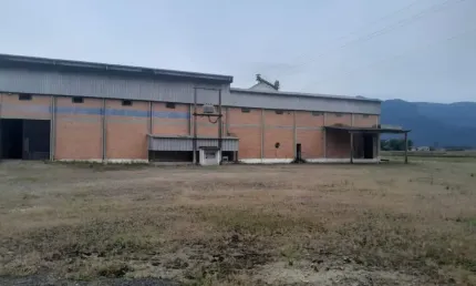 Barracão / Galpão / Depósito com 2 salas à venda na R. Egídio Amboni, 171, São Bento Alto, Nova Veneza