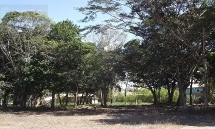 Chácara / sítio à venda no Tabapiri, Porto Seguro 