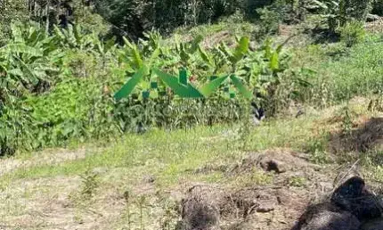 Terreno Rural para Venda em Nova Friburgo, Santiago