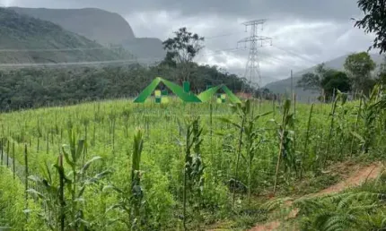Chácara / sítio à venda no Suíço, Nova Friburgo 