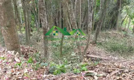 Terreno para Venda em Nova Friburgo, Conselheiro Paulino