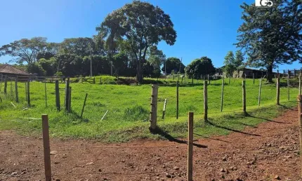 Sítio à venda, 76,8 hectares por r$ 13.500.000 - vila são francisco - apucarana/pr