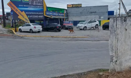 Ponto comercial para alugar na Rodovia BR-470, 3120, Nossa Senhora das Graças, Navegantes
