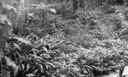 Terreno à venda na Rua Alípio Teixeira de Moraes, 179, Barreirinha, Curitiba