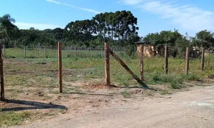 Terreno para venda em porto amazonas, porto velho - colônia palmital