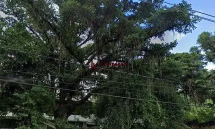 Casa 6 dormitórios à venda vila assunção porto alegre/rs