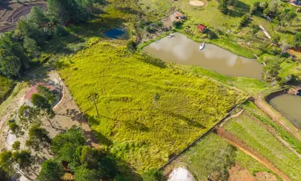 Chácara / sítio à venda na Rua Coronel Monteiro, 800, Rancho Alegre, Campina Grande do Sul
