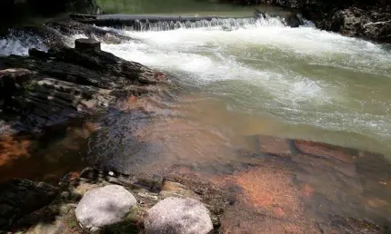 Chácara / sítio à venda na Rodovia Emanuel Pinheiro, Km 28, Zona Rural, Cuiabá