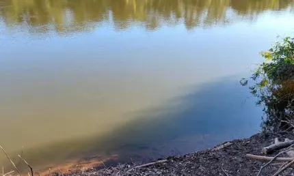 Chácara / sítio à venda na Rosário Oeste Mt 81 Km Cuiaba, Sn, Zona Rural, Cuiabá