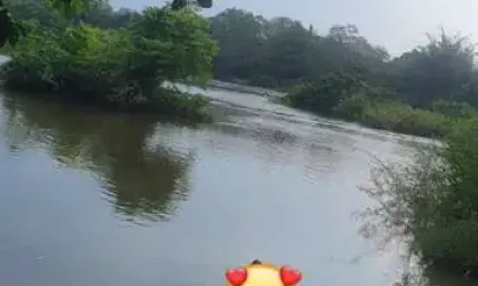 Chácara / sítio à venda na Rua Engenheiro Ricardo Franco, Sn, Centro-Norte, Cuiabá