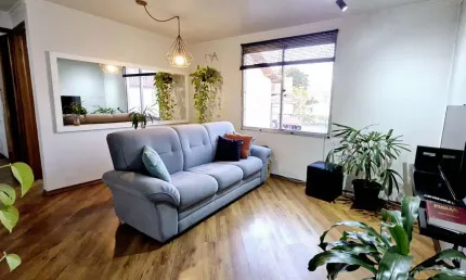 Apartamento tipo para venda em vila nova cachoeirinha com 2 quartos, 47m²