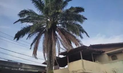 Casa com 7 quartos à venda no Botafogo (Justinópolis), Ribeirão das Neves 