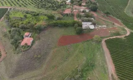 Fazenda são gotardo mg 399 ha café abacate  pecuária