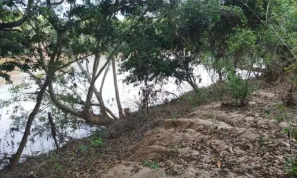 Fazenda à venda no Centro, Três Marias 