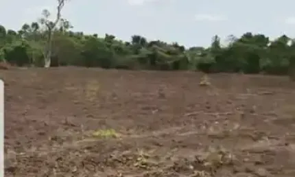 Fazenda à venda no Setor Central, Peixe 