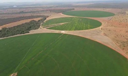 Fazenda ideal para laranja abacate etc.. irrigada em pivôs  região central de minas