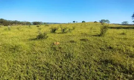 Fazenda à venda no Alvorada, Araxá 