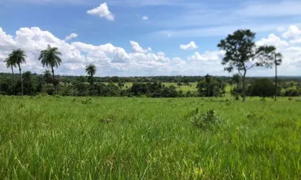 Fazenda com 1 sala à venda no Setor Central, Araguaína 