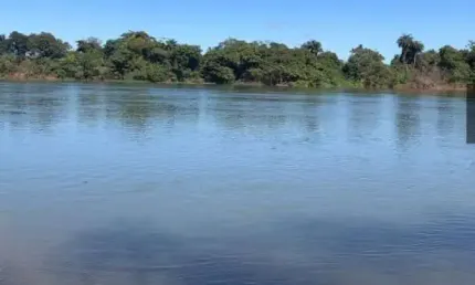 Fazenda à venda no Centro, Várzea da Palma 
