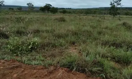 Fazenda à venda no Centro, Três Marias 