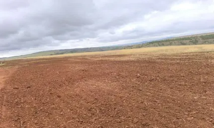 Fazenda à venda na Zona Rural, Sacramento 