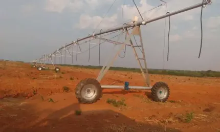 Fazenda à venda na Zona Rural, Paracatu 