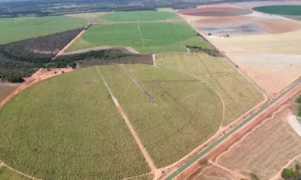 Fazenda à venda na Zona Rural, Paracatu 