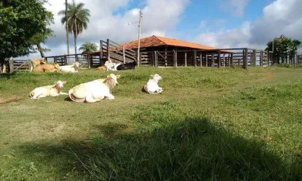 Fazenda em pecuária de 810 hectares em são gotardo - mg