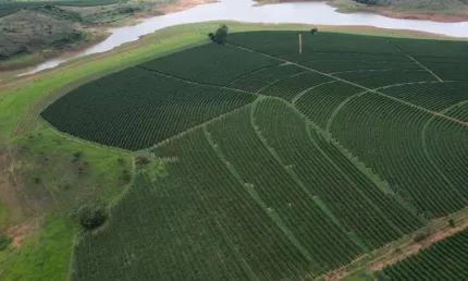 Fazenda à venda na Zona Rural, Iraí de Minas 