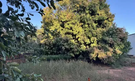 Chácara à venda na estância primavera i com 1.321 m²  oportunidade!