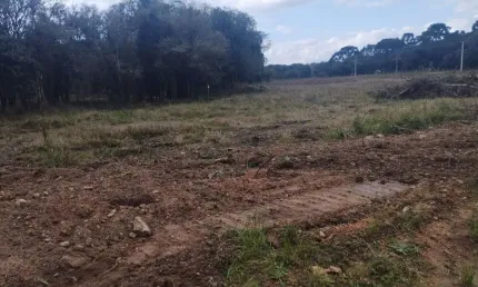 Terreno à venda, área rural de fazenda rio grande, fazenda rio grande, pr