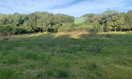 Terreno à venda, área rural de fazenda rio grande, fazenda rio grande, pr