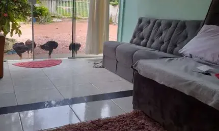 Chácara à venda, área rural de são josé dos pinhais, são josé dos pinhais, pr