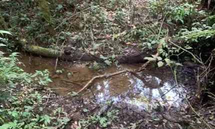 Terreno à venda, campestre da faxina, são josé dos pinhais, pr