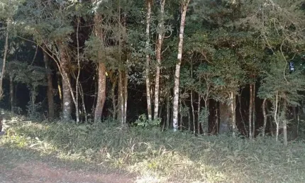 Promoção apenas 200 mil doc. ok, campestre da faxina, são josé dos pinhais, pr