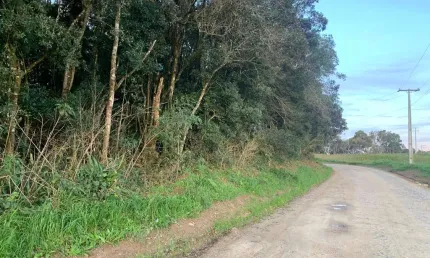Terreno à venda, área rural de fazenda rio grande, fazenda rio grande, pr