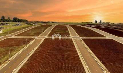 Terreno em condomínio fechado à venda na Rodovia PR-486, 19942, Interlagos, Cascavel