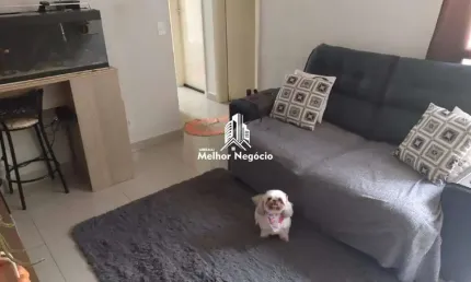 Apartamento à venda com 02 dormitórios (Quartos) Condomínio Serra Negra em Sumaré - SP