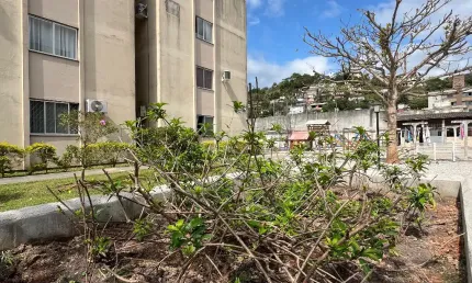 Apartamento com 3 quartos à venda na Rua Bertoldo Simão de Oliveira, Boa Vista, Biguaçu