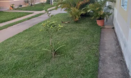 Casa em condomínio fechado com 3 quartos à venda na Avenida Paulo Roberto Vidal, Bela Vista, Palhoça