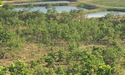 Fazenda à venda na Rodovia Emanuel Pinheiro, 01, Jardim Vitória, Cuiabá