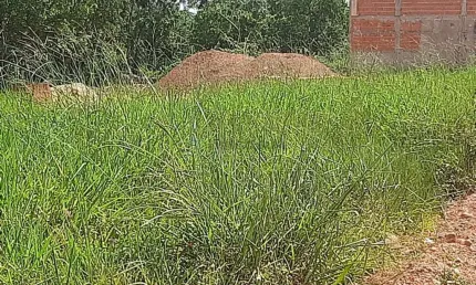 Terreno à venda na Rua A, sn, Parque Georgia, Cuiabá