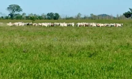 Fazenda à venda na Área Rural, 1, Zona Rural, Cuiabá