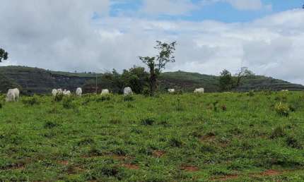 Fazenda à venda na Área rural, 1, Centro, Dom Aquino, 817 m2 por R$ 13.000.000