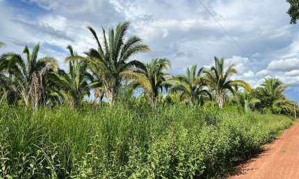 sítio com 55 hectares na região da cidade de Nobres MT