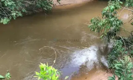 fazenda na região da cidade de Tesouro com 246 Hectares